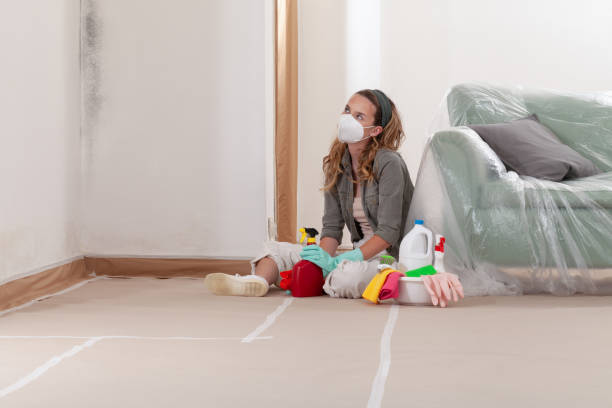 Reliable Mold Remediation contractor in Leonardtown, MD by Cheap Mold Removal